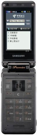 Samsung SCH-W799:     