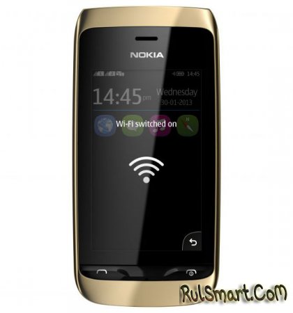 Nokia  Asha 310: 2 SIM  WiFi