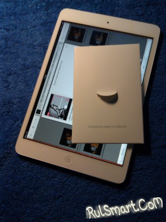    Apple iPad mini