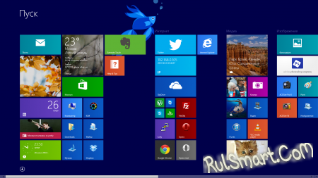  Windows 8.1   