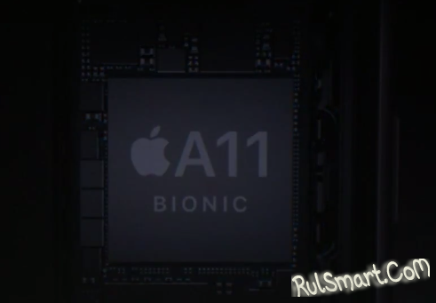 Apple iPhone 8  8 Plus:  ,     