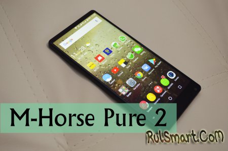  M-Horse Pure 2      