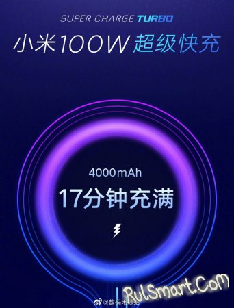 Xiaomi     100- 