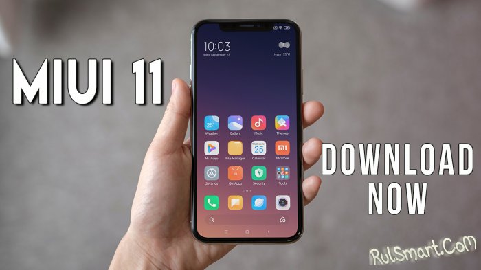Xiaomi      MIUI 11  Redmi 7