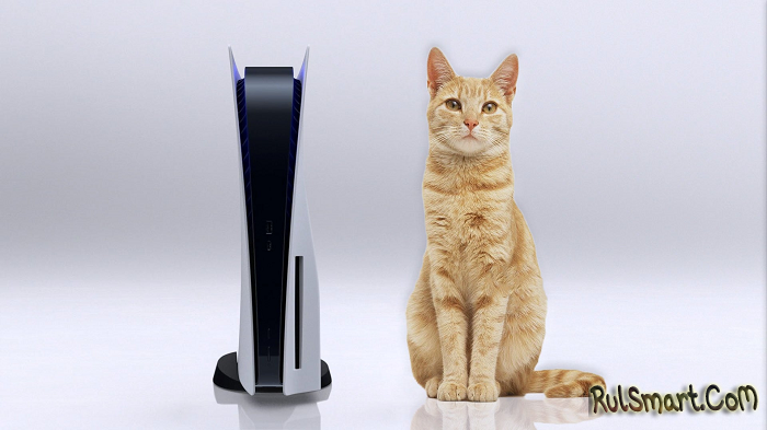 PlayStation 5: геймеры получают кошачий корм вместо игровой консоли