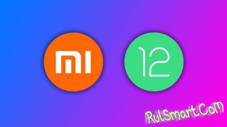 Xiaomi   MIUI 12  Android 12  
