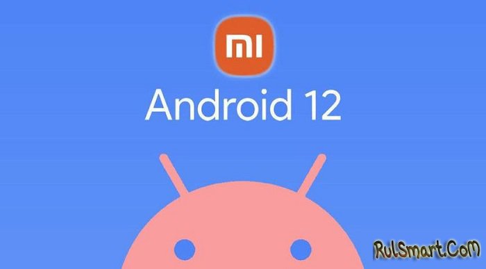 Xiaomi    MIUI 12.5  Android 12.  