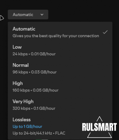 Spotify HiFi       
