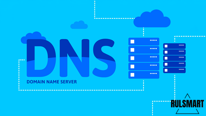    dns     ( )